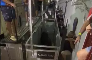 Así fue el incidente con el toro en Algar de Palància