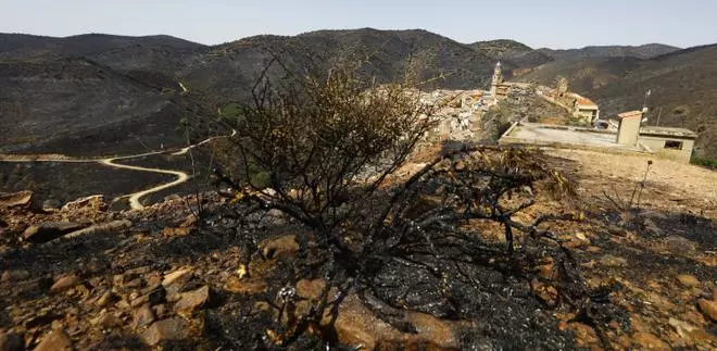 Los incendios reducen el turismo en las comarcas de  Calatayud y el Moncayo