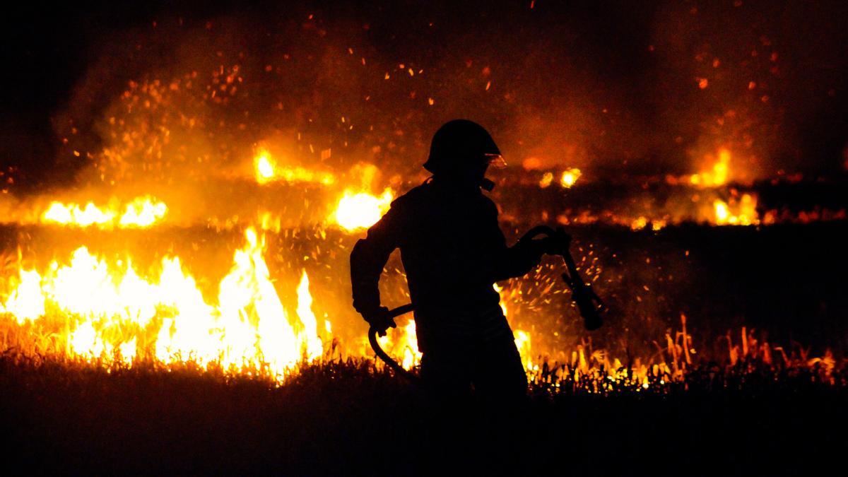 Un bomber treballa per apagar un incendi forestal