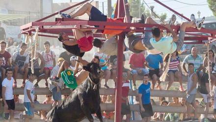 Muere Un Joven Por Una Cornada De Una Vaquilla En Unas Fiestas De Alicante Diario De Mallorca