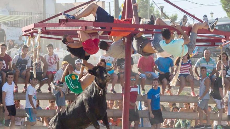 Una imagen de archivo del festejo taurino de las fiestas de Pinoso.