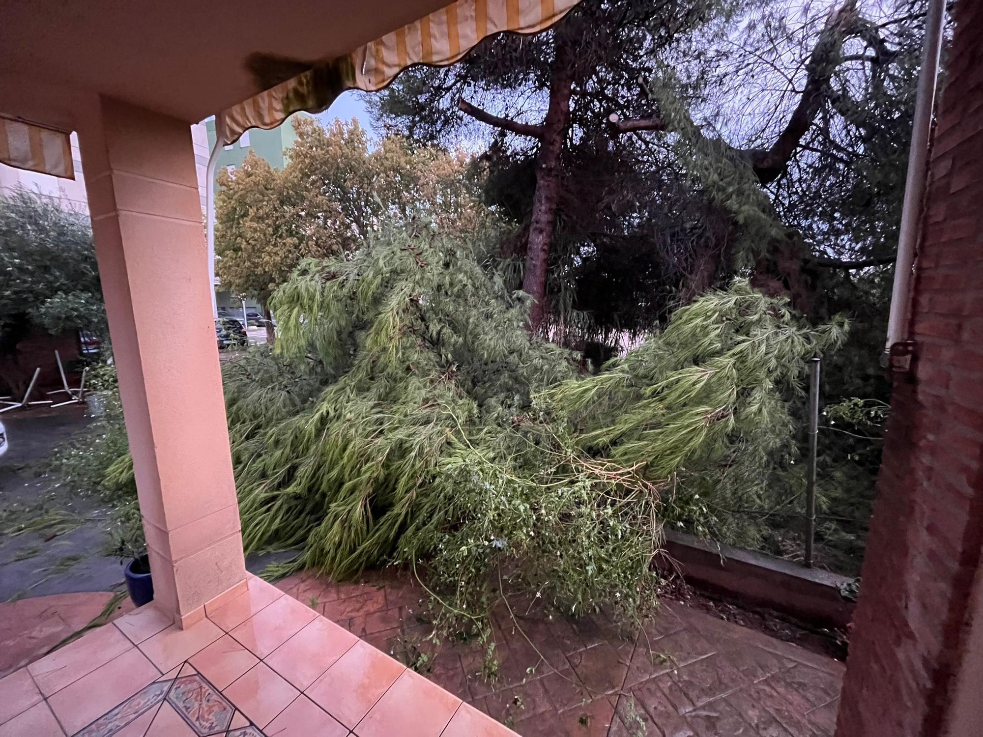 Imágenes del episodio de aguacero y granizo en Castellón