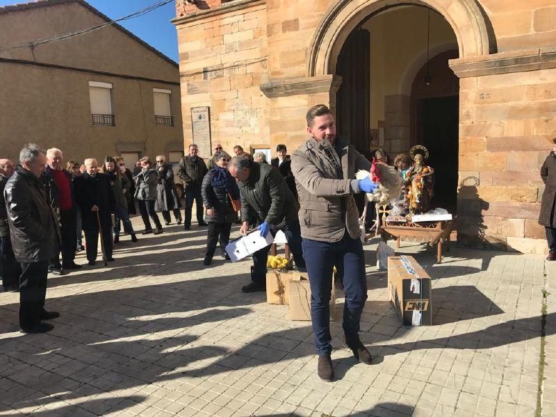 Fiesta de San Antón en la provincia de Zamora