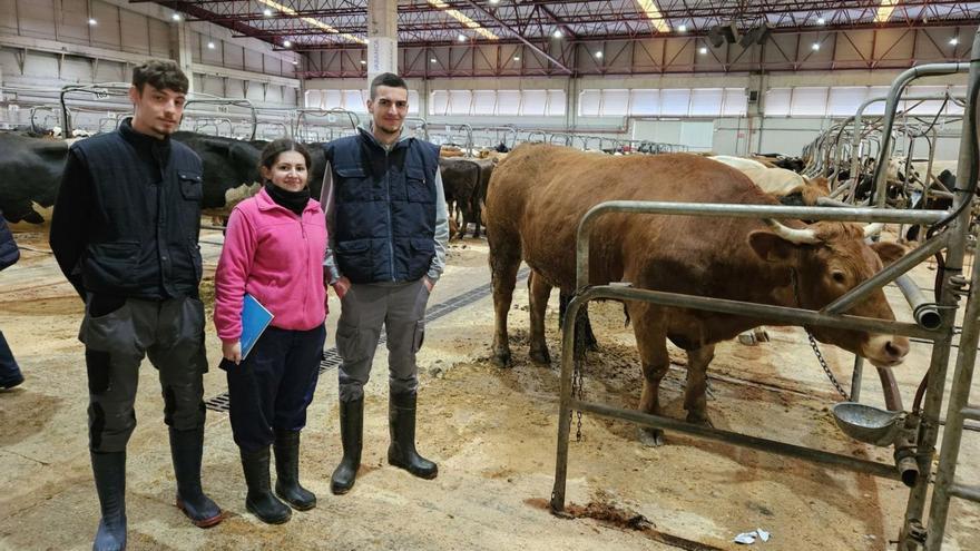 Tres estudiantes del CFEA de Sergude visitan la Lonja | MANUEL BARROS