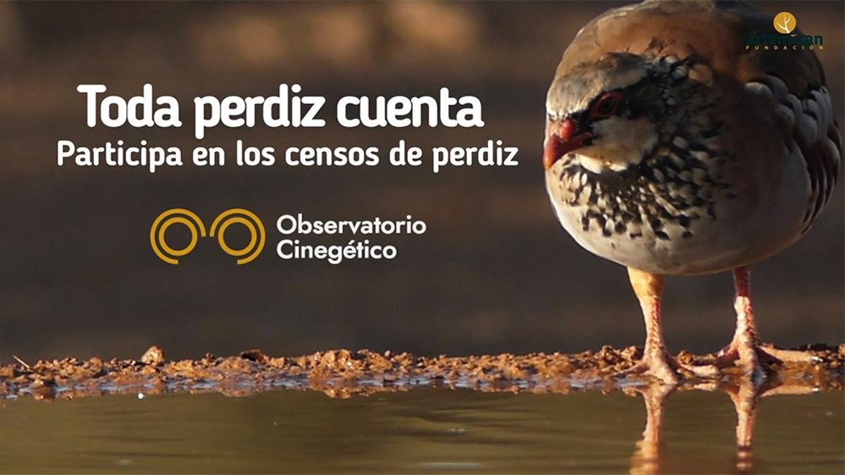 Campaña 'Toda perdiz cuenta, dentro del periodo de monitorización de aves residentes que se desarrolla hasta el próximo 30 de abril.