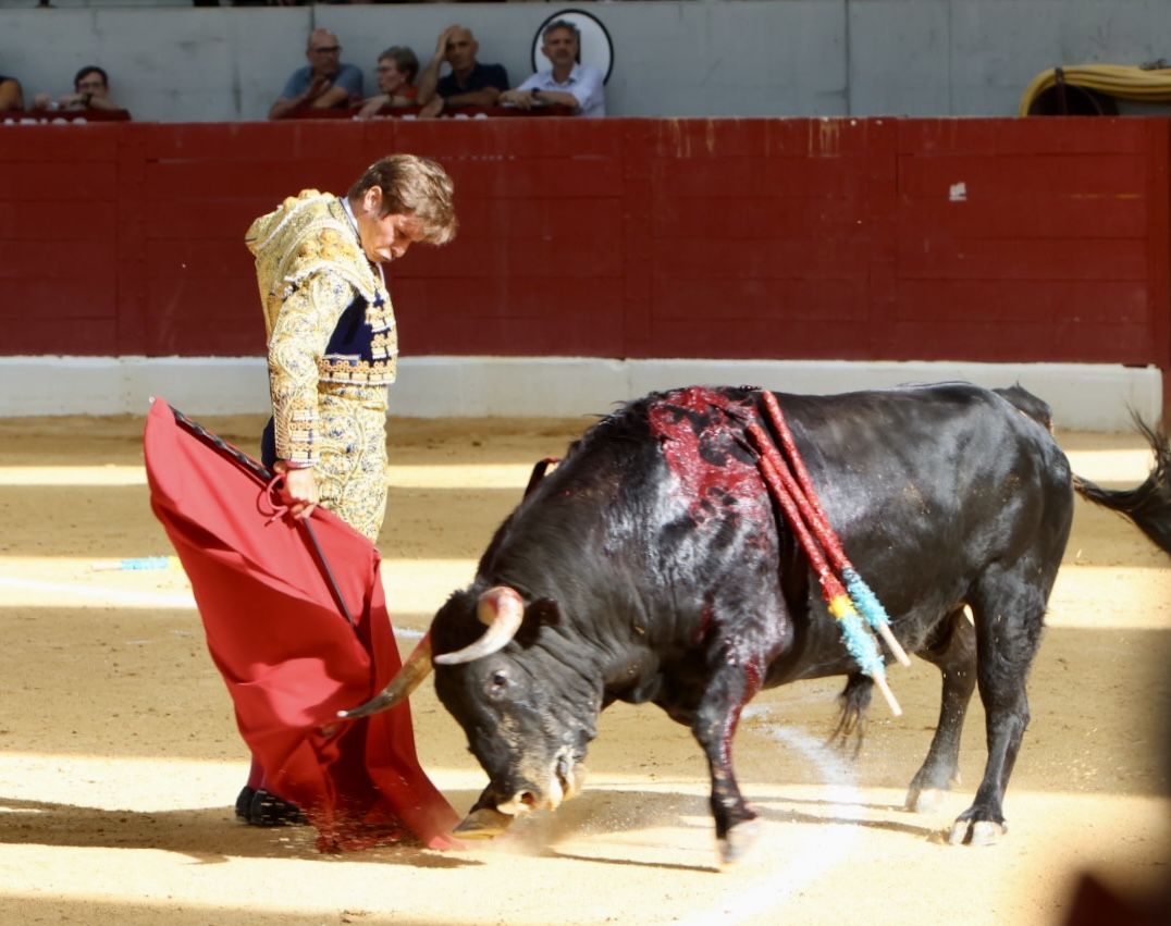 Las imágenes de la vuelta de los toros a la plaza de Villena