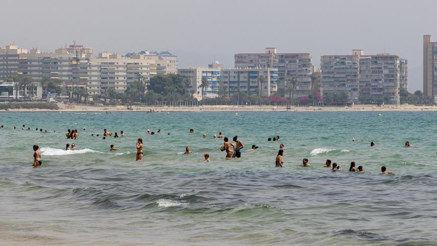 El Campello contesta a la Generalitat y asegura que las analíticas de las aguas de baño son &quot;excelentes&quot;