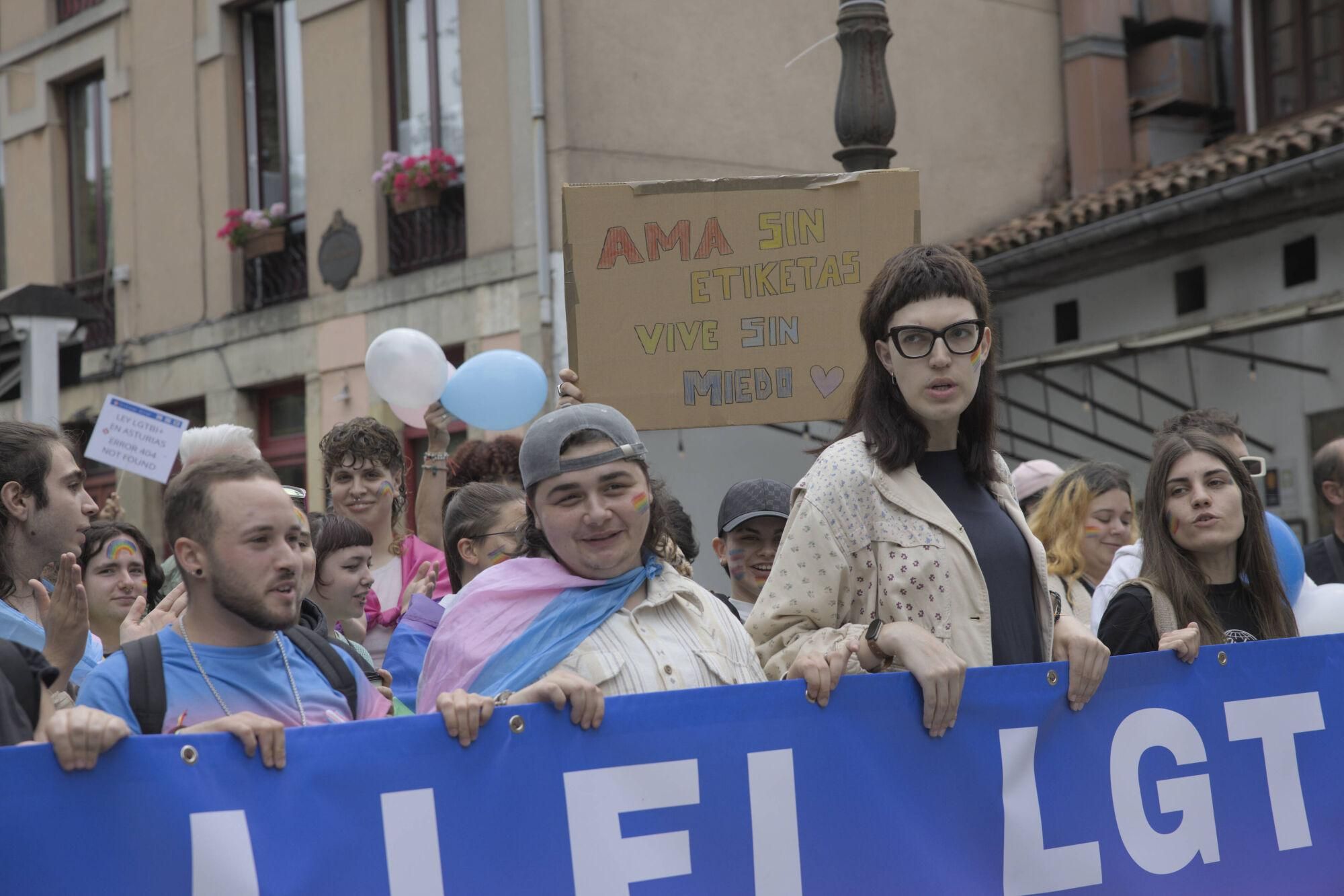 En imágenes: Así fue la manifestación LGTBI de Avilés, con "Santina de Queervadona" incluida