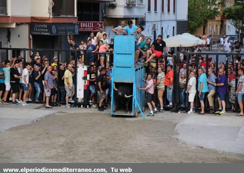 Fiestas de Sant Pere 2018