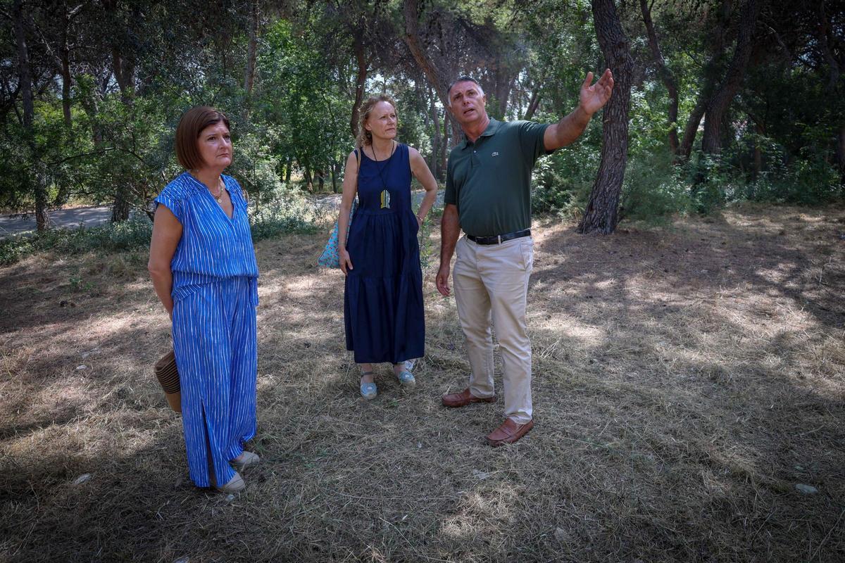 La alcaldesa, Amparo Folgado, y los concejales José Gozalvo y Amparo Chust, visitan una zona forestal.