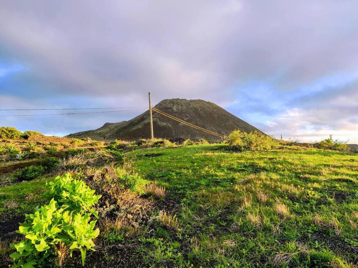 Los campos del norte de Lanzarote se tiñen de verde por las lluvias del invierno