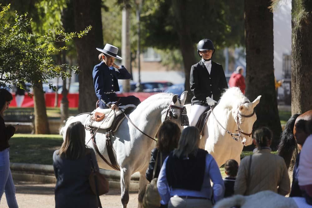 Fiesta de los oficios y tradiciones del caballo en Córdoba