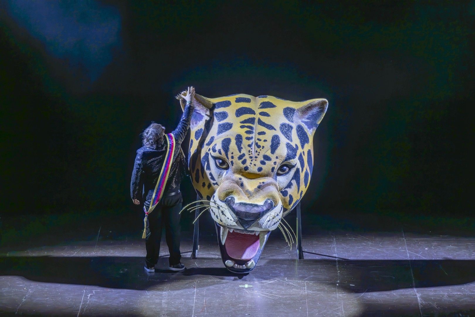 Las mejores imágenes del pregón y la gala del Carnaval 2026 de Torrevieja están aquí