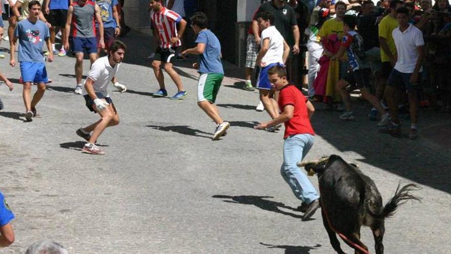 Las sueltas del toro de cuerda atraen a cientos de visitantes