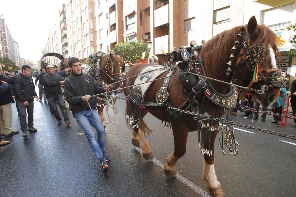 Sant Antoni en Valencia 2017