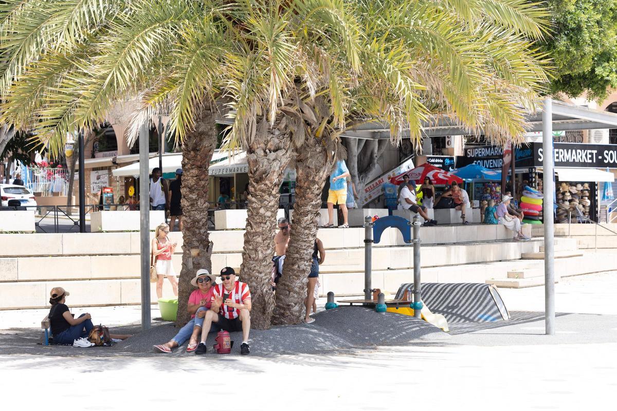 Unos turistas se protegen del sol bajo unas palmeras en Figueretas.