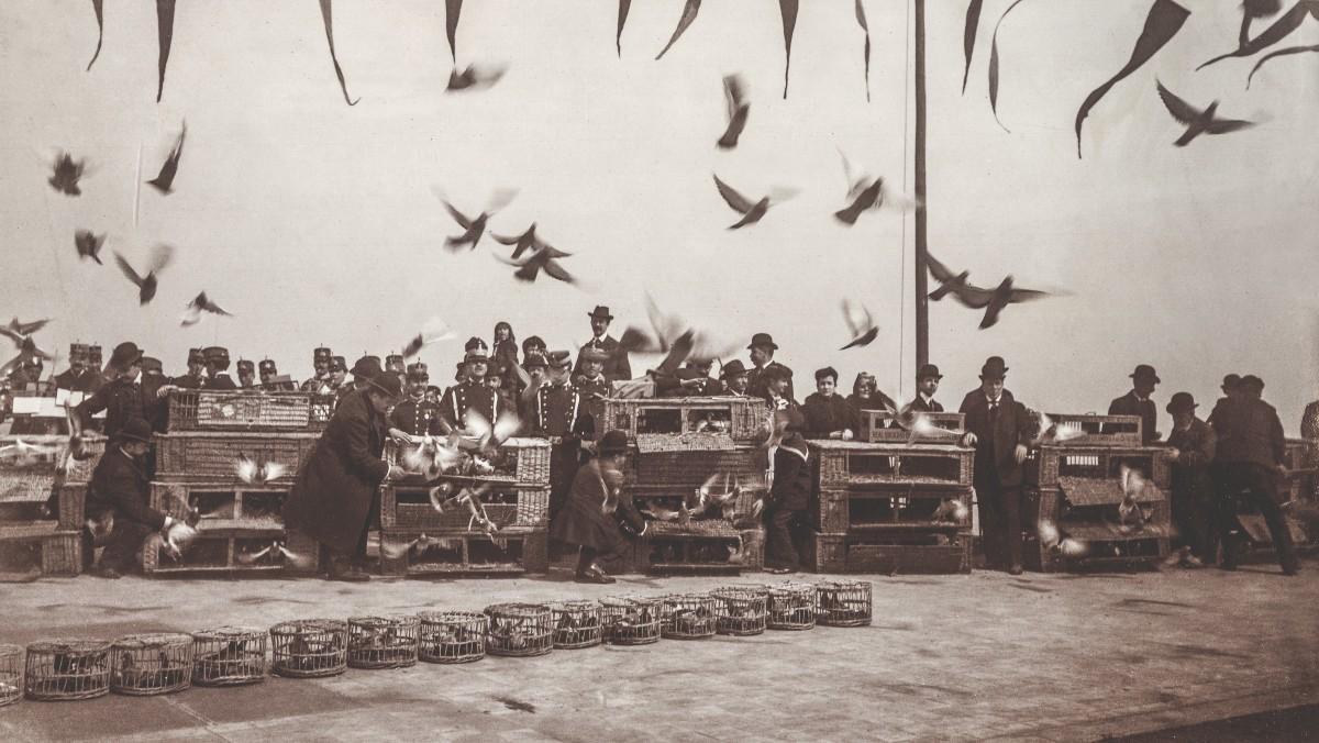 Fiesta de la Reial Societat Colombòfila en el Tibidabo, en 1907.