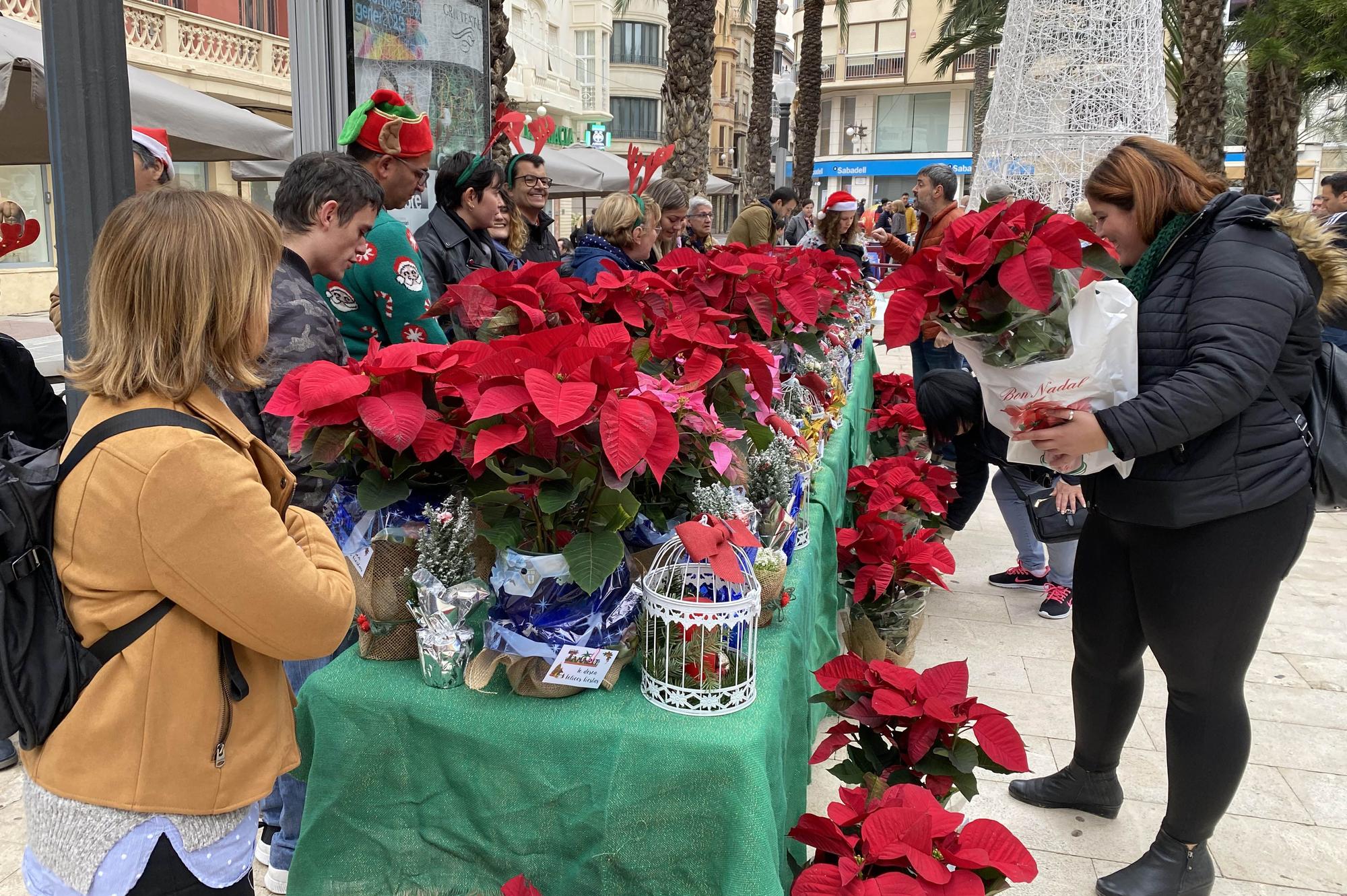 Día de la Discapacidad en Elche: una lucha continua por ser más visibles y autónomos