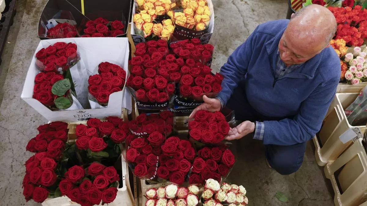 Sant Jordi 2025 en Terrassa: actividades y paradas de libros y rosas