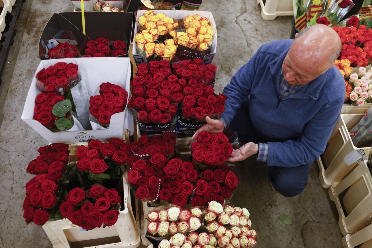 Una persona trabaja en Mercabarna-Flor donde se prevé, para este Sant Jordi, que se vendan alrededor de siete millones de rosas, cuya procedencia será mayoritariamente extranjera.