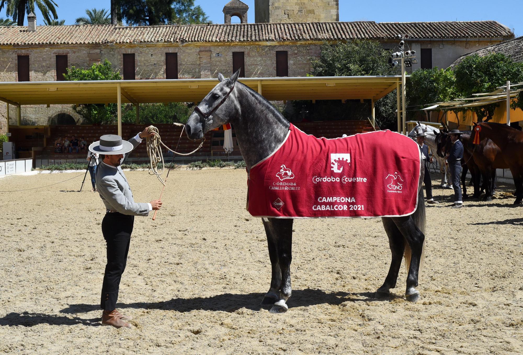 Cabalcor cierra su semana grande con todos los objetivos alcanzados