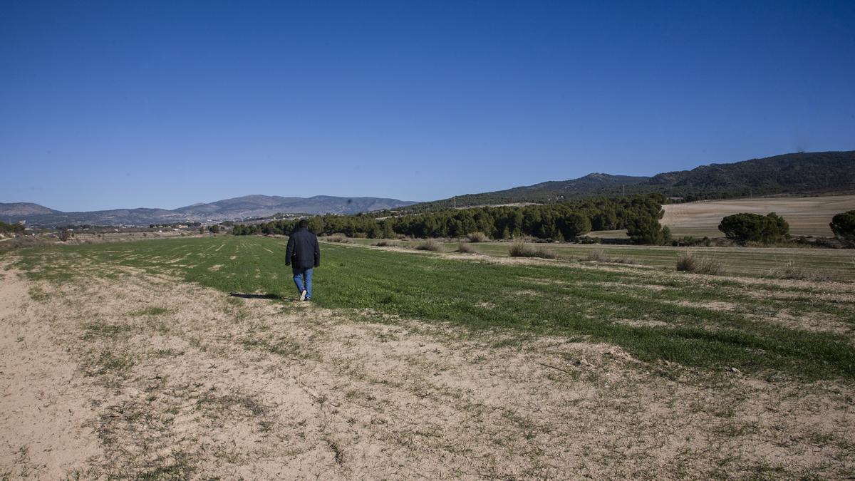 Parte de los terrenos donde se ha proyectado una gran planta fotovoltaica en Castalla.