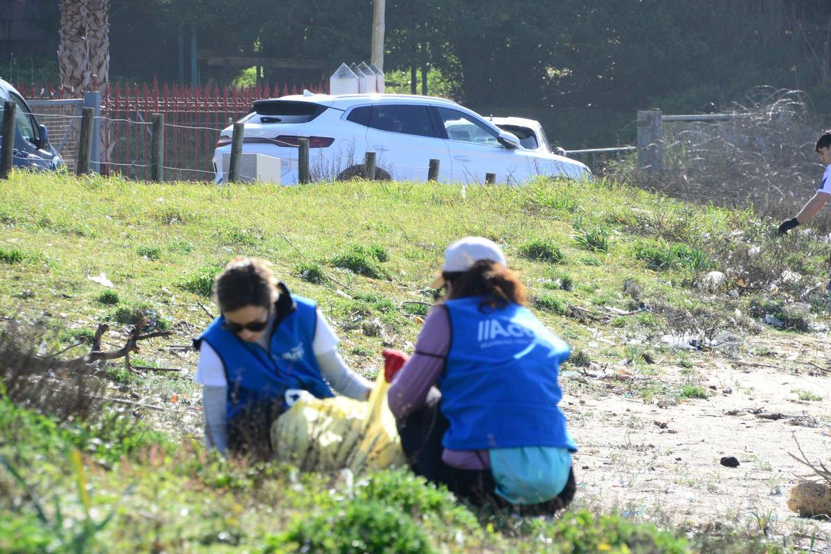 La limpieza de la playa de Area de Bon, en Bueu, en imágenes (I)