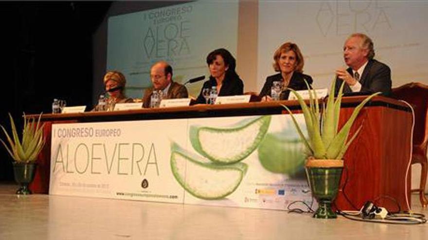 Cada hectárea de aloe vera genera 200 jornales al año