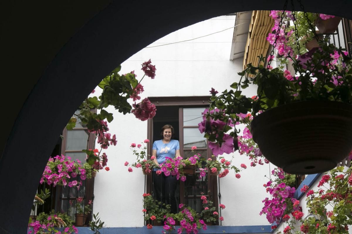 Fotogalería / Descubriendo los patios de la ruta del Realejo y San Andrés