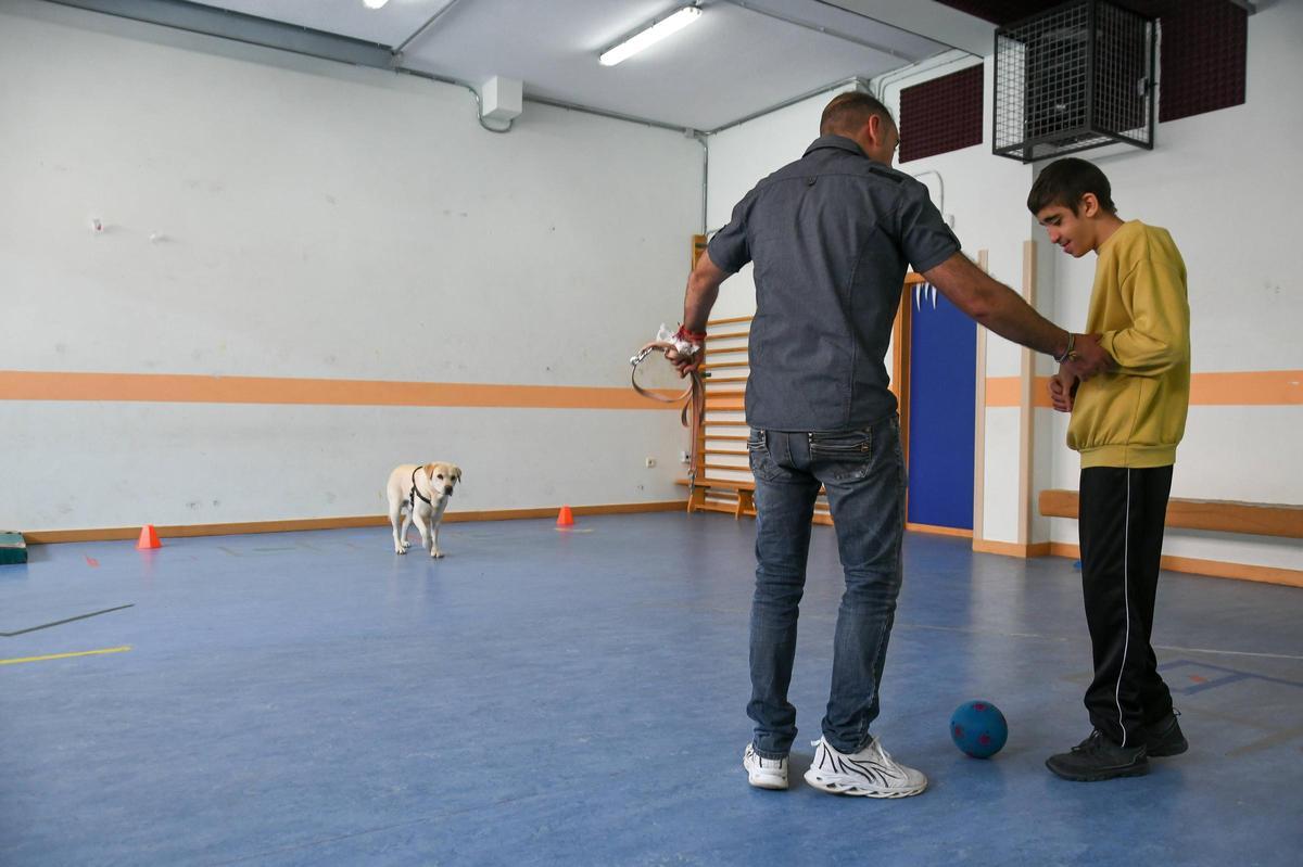 Terapia con perros en el colegio Virgen del Castillo de Zamora