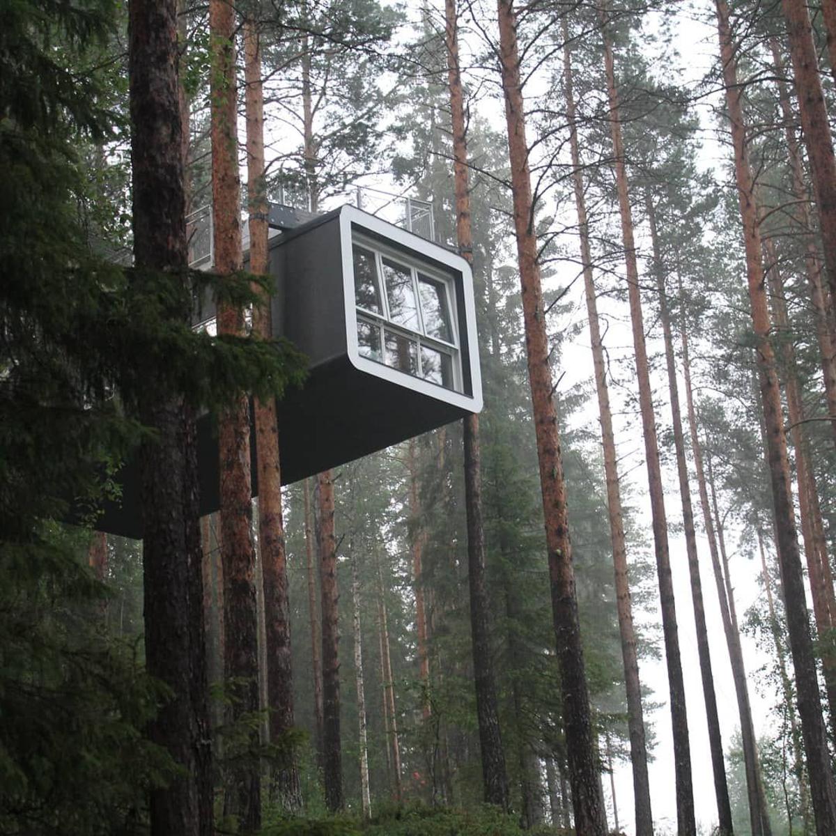 Tree hotel