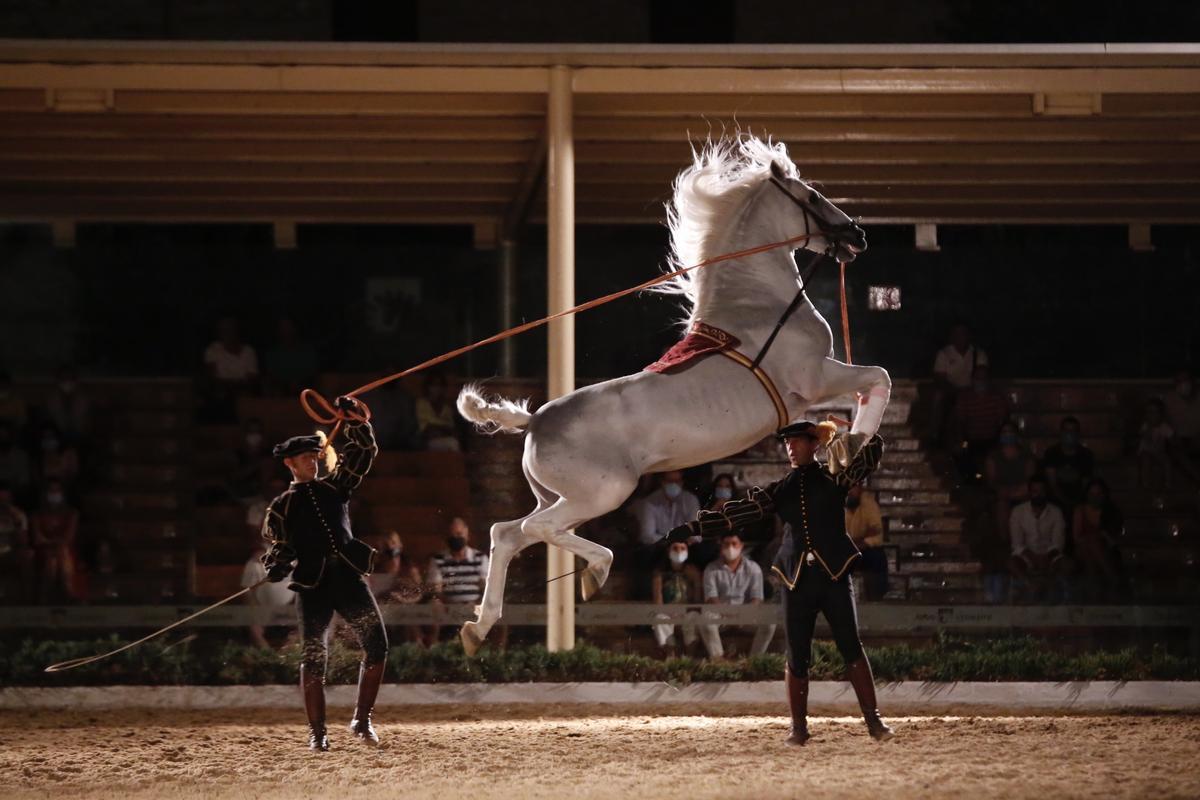 Espectáculo 'Pasión y duende del caballo andaluz', en Caballerizas Reales.