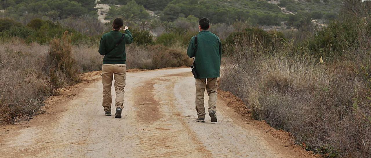 El paraje natural municipal también va a ver arreglados los senderos deteriorados. | ANTONIO AMORÓS