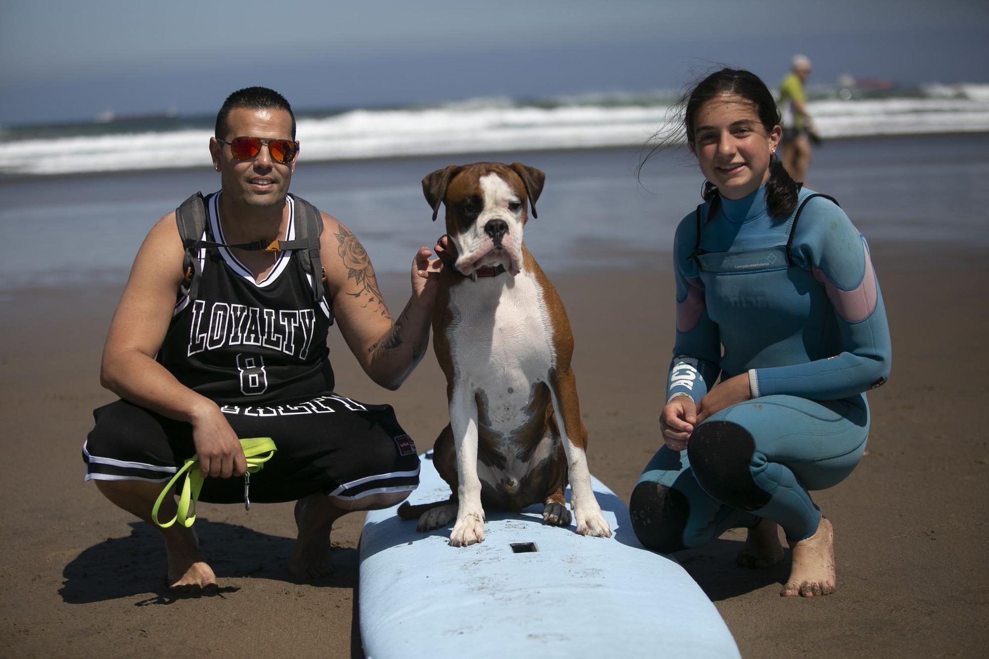 En imágenes: así fue el campeonato de surf para perros en Salinas