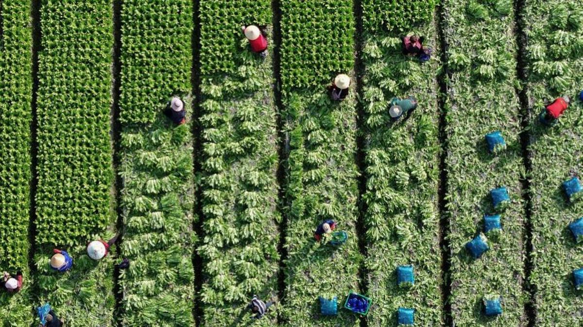 China registra la mejor calidad del aire de su historia en 2025