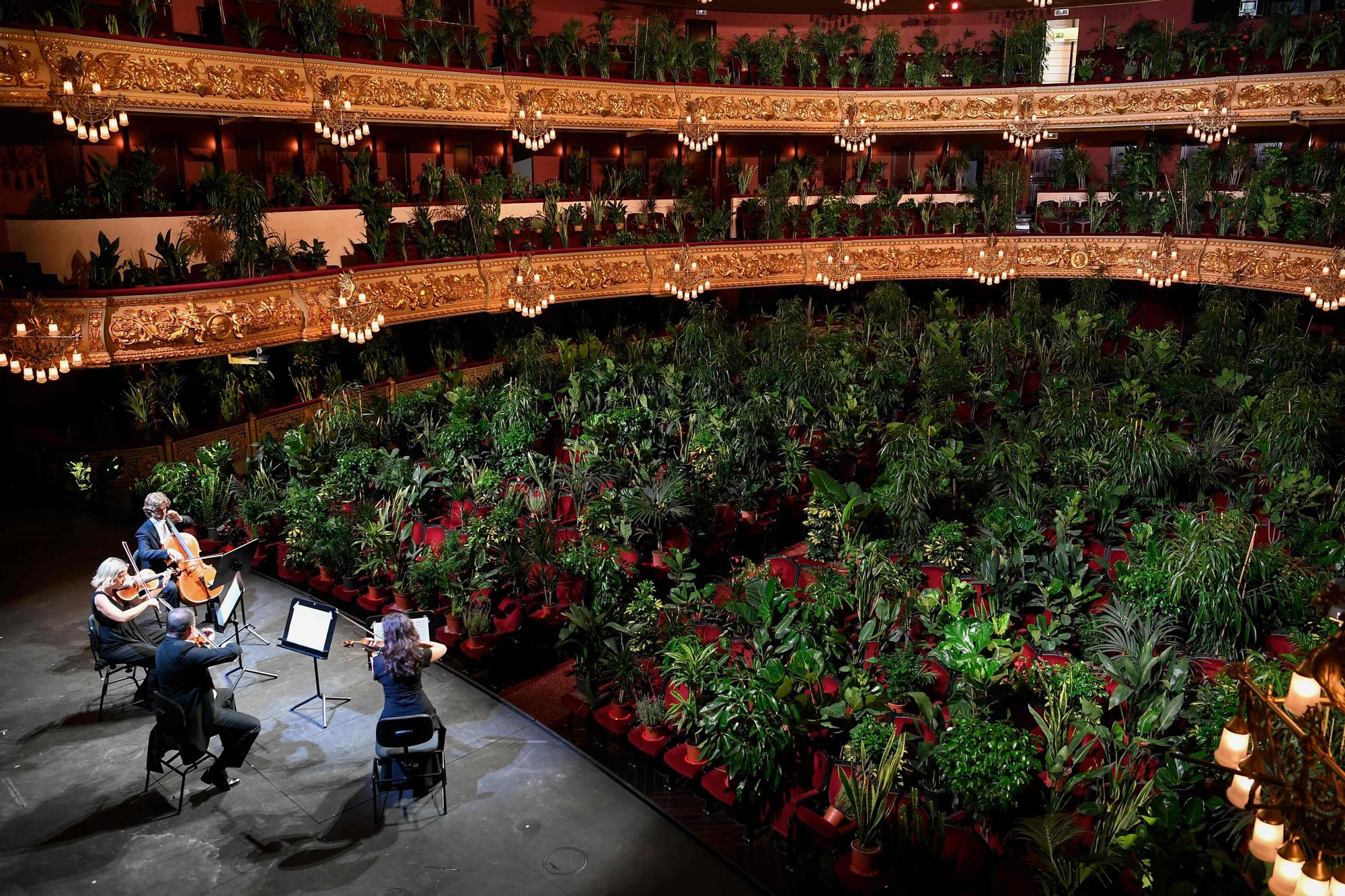 El 'Concierto para el Bioceno' de Eugenio Ampudia en el Liceu.