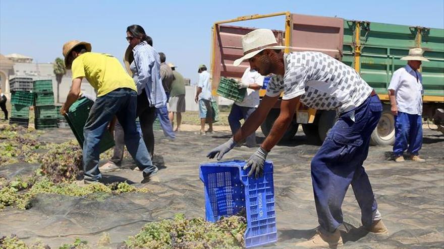 El intenso calor obliga a adelantar la puesta en marcha de las paseras