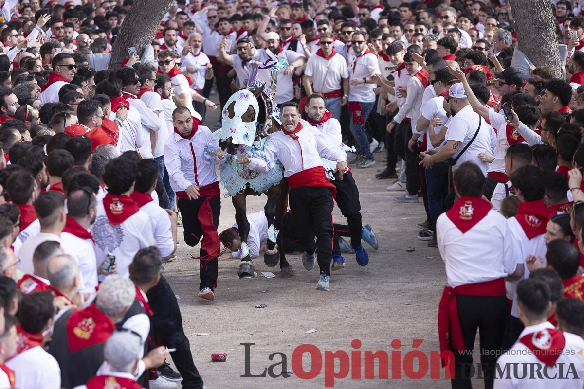 Así se ha vivido la carrera de Los Caballos del Vino en Caravaca