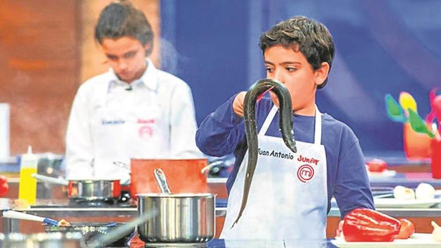 Críticas a ‘Masterchef junior’ por una anguila muerta