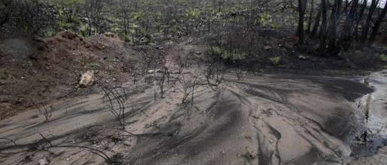 Las lluvias arrastran la tierra de la zona quemada de Carcaixent
