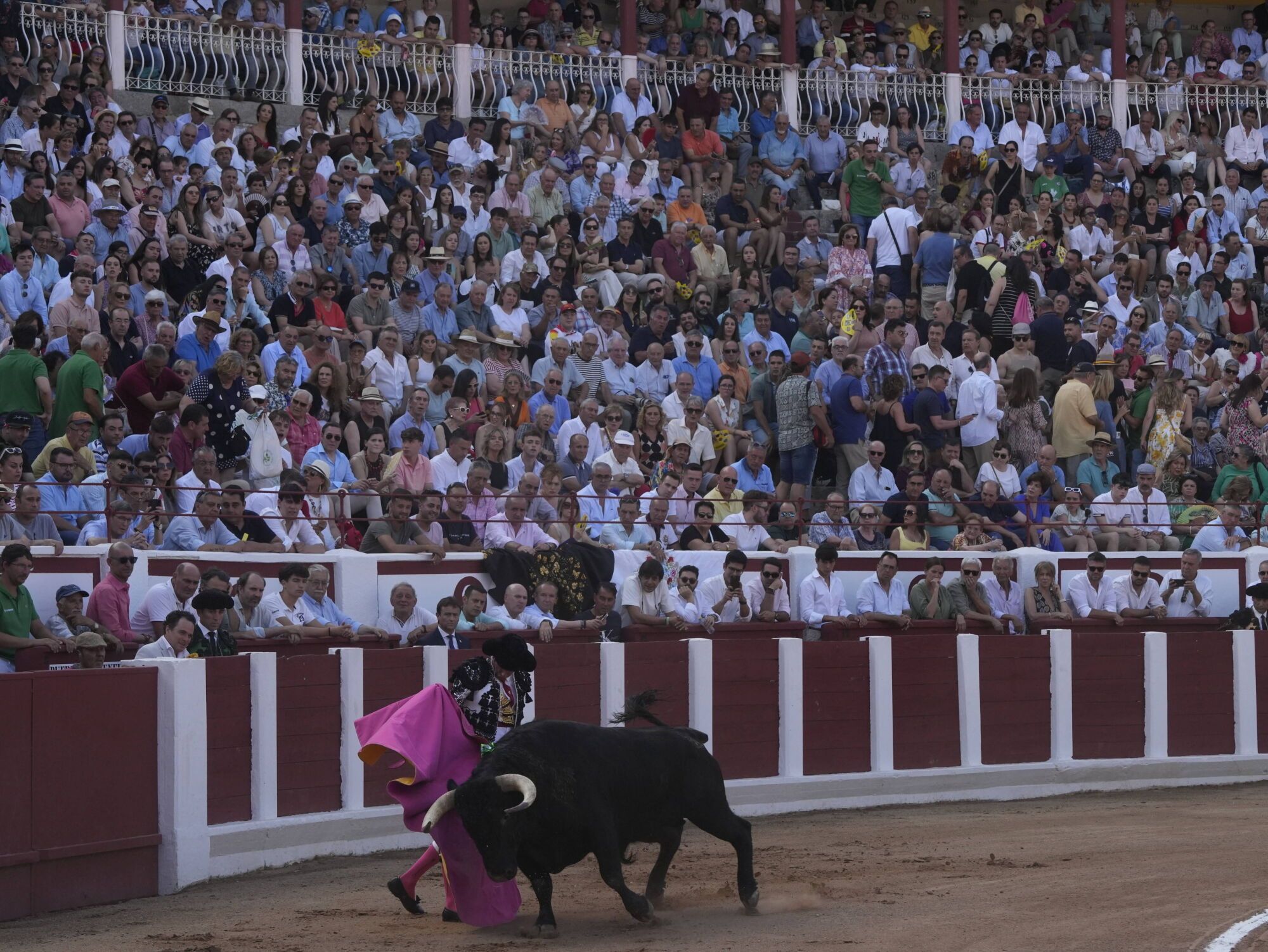 Las mejores imágenes de la feria taurina de San Pedro en Zamora.