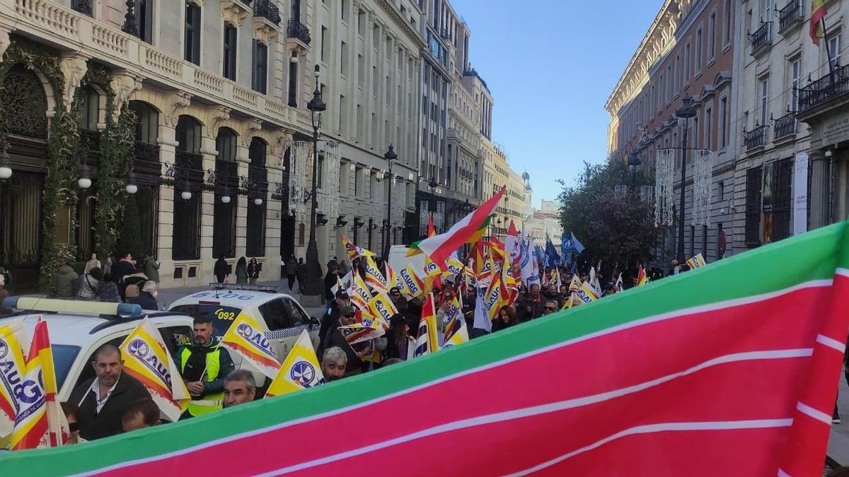 La seña bermeja, bandera de Zamora, en la manifestación AUGC de Madrid.