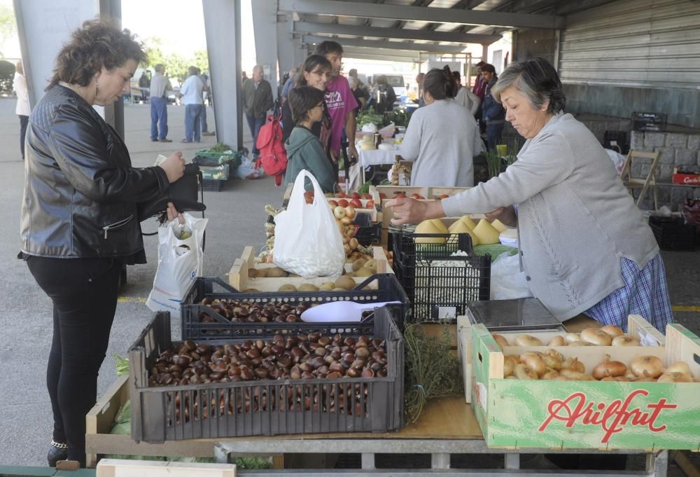 Mercado de otoño en Abegondo