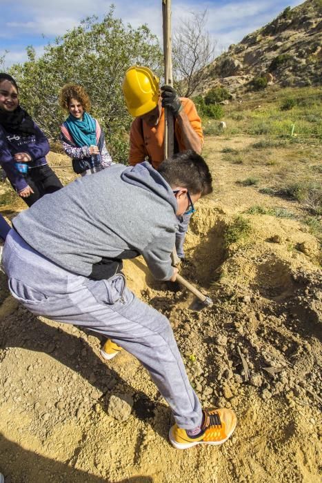 Proyecto para convertir la cantera de Cox en zona verde