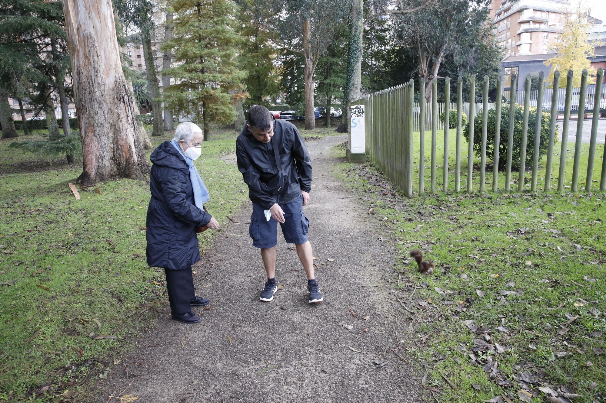 El guardián de las ardillas del parque Isabel la Católica de Gijón