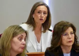 El PP activa un pleno extraordinario para exigir a Abel Caballero el cese de Patricia Rodríguez