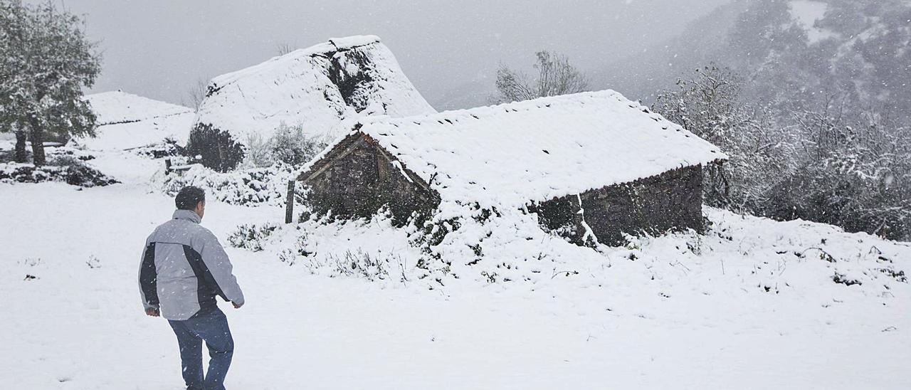 Un vecino camina por Tuiza de Arriba, durante un temporal de nieve el año pasado. | Miki López