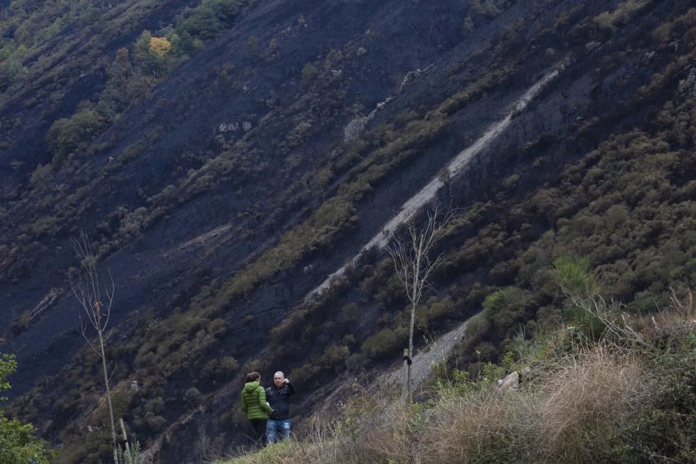 Desolación en el suroccidente asturiano tras los incendios