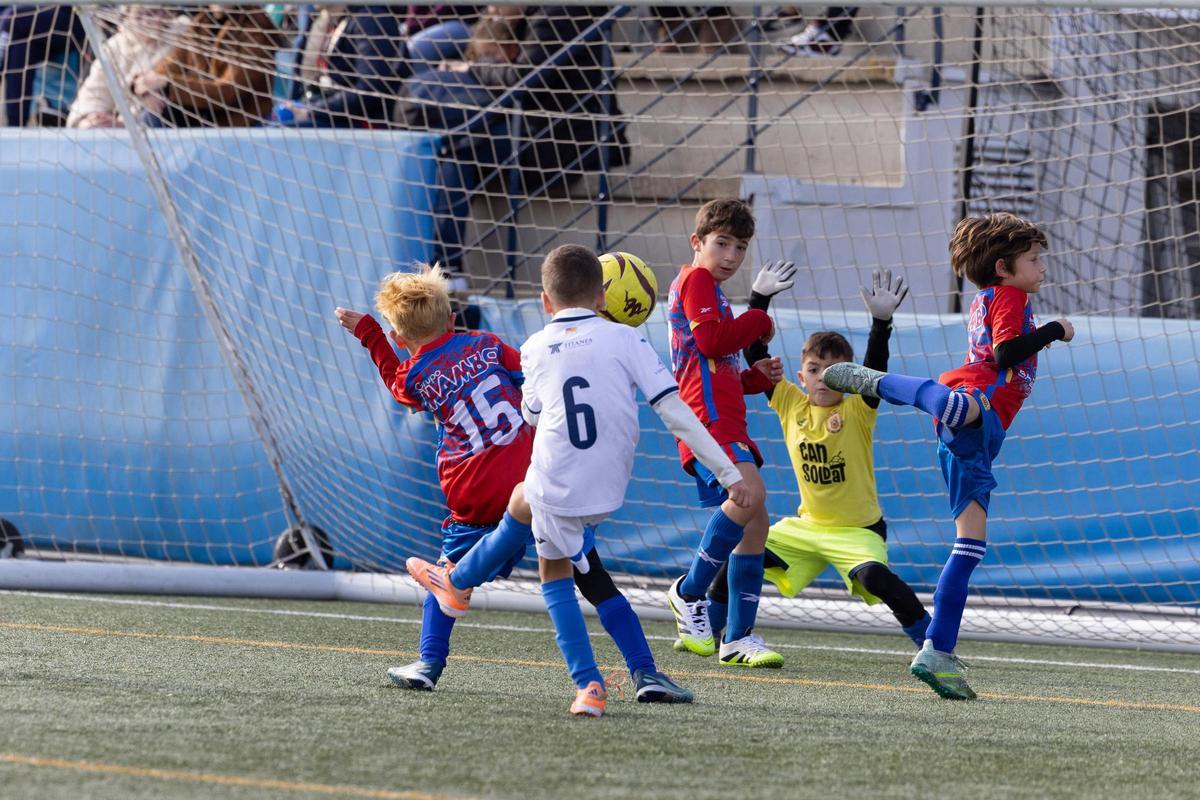 Galería: Torneo Fibwi en Sant Antoni Galería: Torneo Fibwi en Sant Antoni