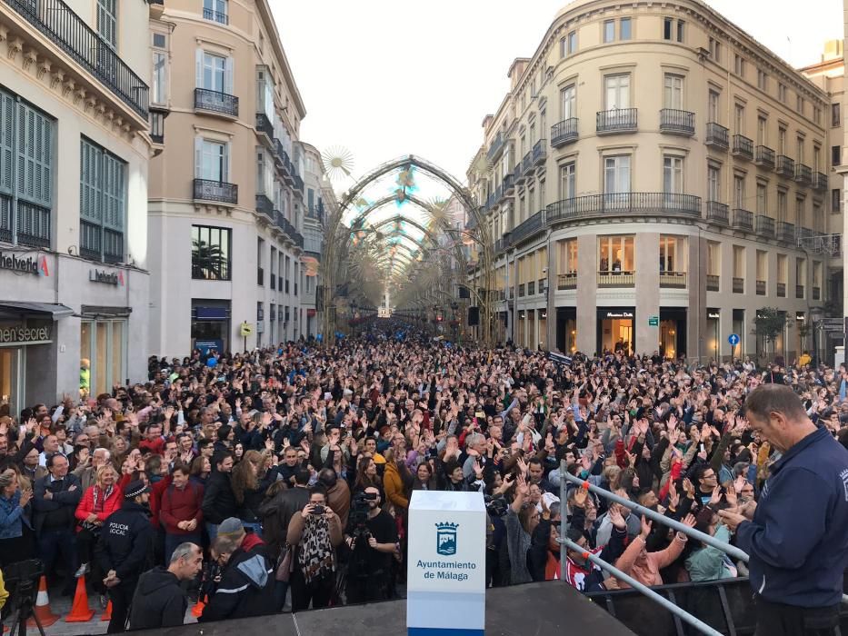 Aspecto la calle Larios, pasadas las 17.30 horas, donde el público espera el encendido del alumbrado navideño, que correrá a cargo de Antonio Banderas.